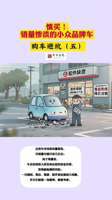 【销量惨淡的小众品牌车】这类车市场保有量极低，月销量可能只有几百台。由于销量差，车企后续投入研发和运营的资金存疑，容易面临倒闭风险。一旦倒闭，售后、维修、配件供应都成大问题，买它们就像一场赌博，慎重考