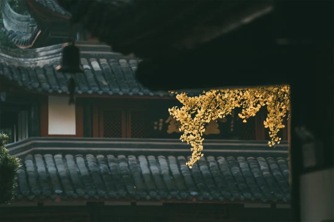 ▲古刹金钟(摄影:谢小立)