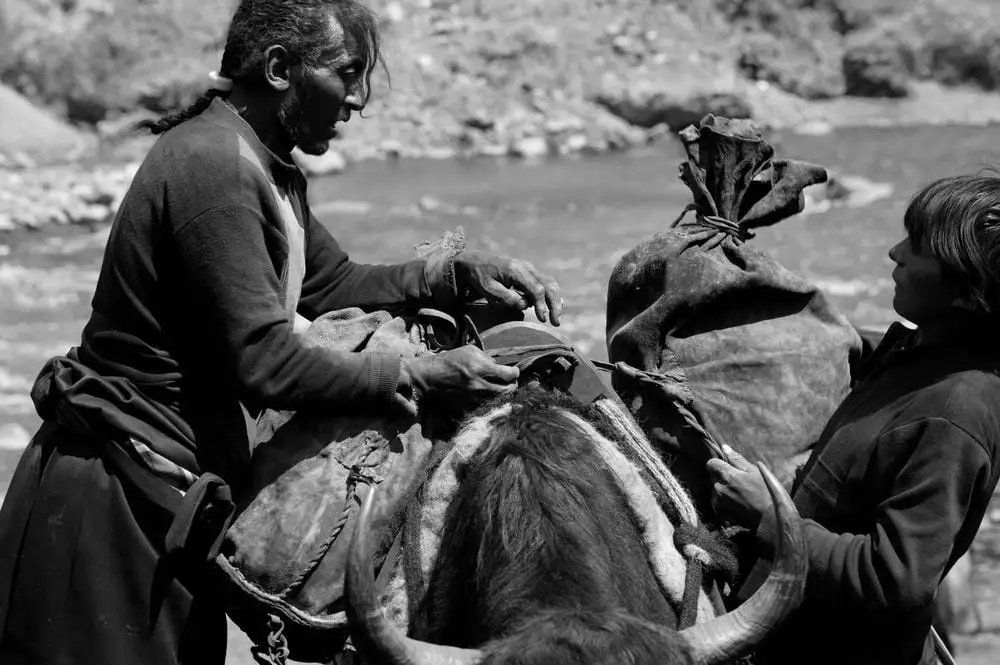 跋涉前的准备 Yak Caravan,2009 © Michael Freeman