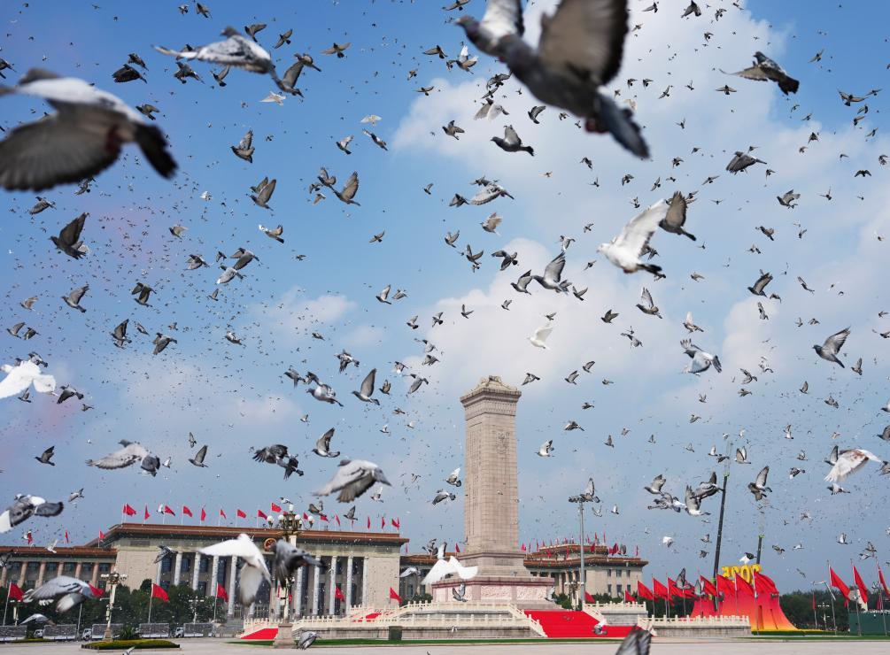 2025年9月3日,纪念中国人民抗日战争暨世界反法西斯战争胜利80周年大会在北京隆重举行。这是纪念大会现场放飞鸽子。新华社记者 牟宇 摄