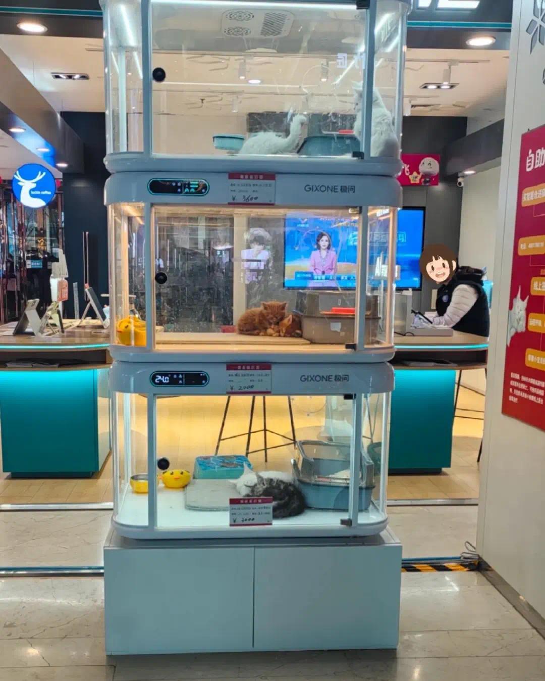 〓 “活体展示区,无人售卖”的宠物自动贩售机,很难说是爱宠还是虐猫