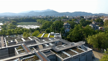 文化中国行·传统村落人文影像志|明清古建×当代艺术,这个岭南古村凭“混搭”出圈