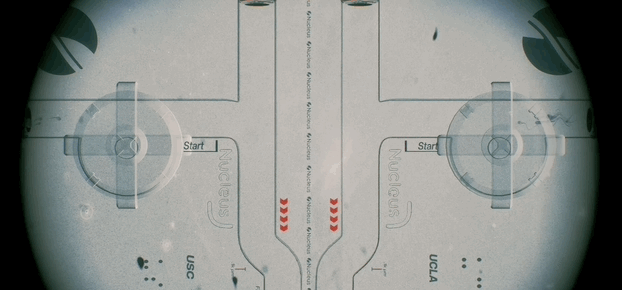 全球首场精子竞速大赛,生物界自己的F1