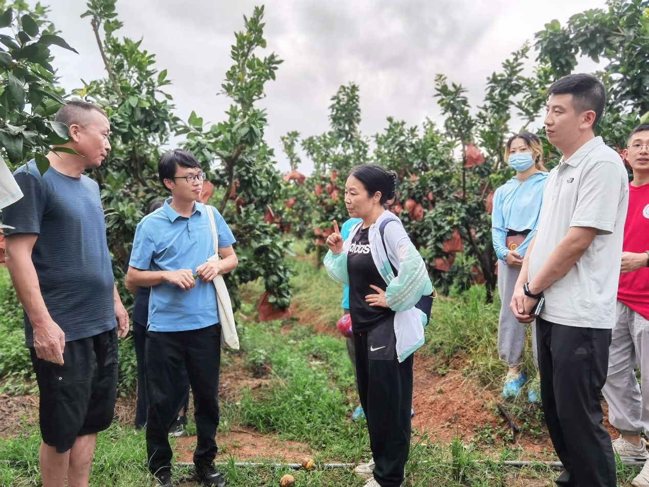 廖红（左三）讲解柚子种植的要点。受访者供图