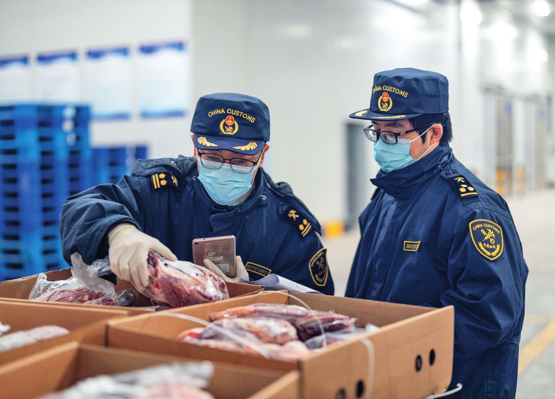 在重庆国际物流枢纽园区，重庆海关所属渝州海关的工作人员正仔细查验通过西部陆海新通道进口的牛肉（2025 年 1 月 17 日摄） 黄伟摄 / 本刊
