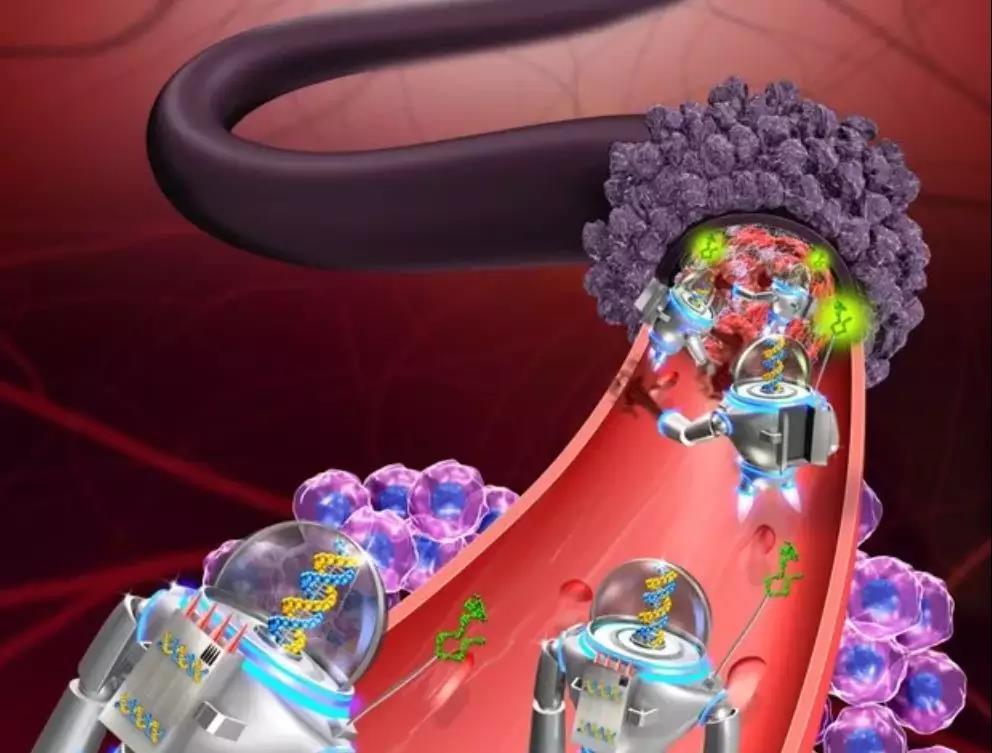 纳米机器人或许将开启一场医疗革命。科学家设想,纳米机器人能够在人体血管中巡航,精准清除血栓、修复癌症细胞,就像快递小哥一样定点递送药物,实现“无创手术”。图为用于肿瘤治疗的智能型DNA纳米机器人示意图。国家纳米科学中心供图