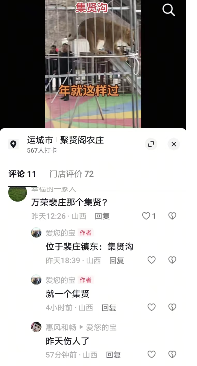 有网友在评论区称狮子伤人 。网络截图