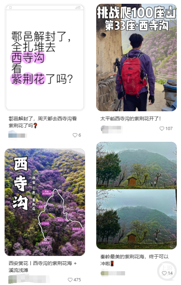 网友发布的西寺沟赏花帖子。网络图