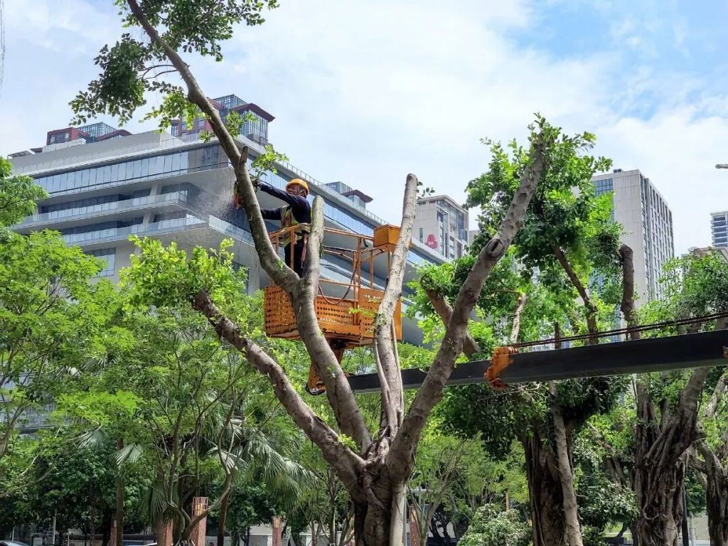 圖源:視覺(jué)中國