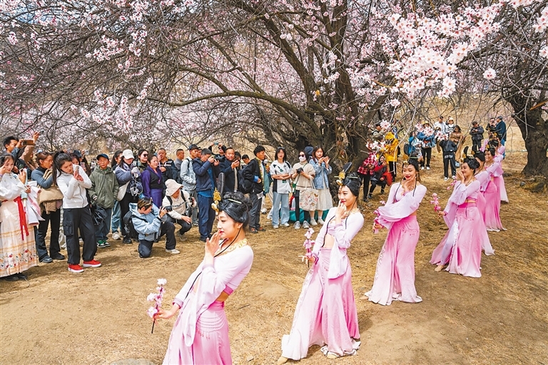 2024年3月31日，西藏林芝市第二十一届桃花旅游文化节在嘎拉村开幕，各类活动精彩纷呈，吸引众多游客。近年来，嘎拉村充分发挥自身优势，大力发展乡村旅游，让群众在家门口吃上“生态饭”“旅游饭”。 图为游客在林芝市巴宜区嘎拉村观看舞蹈表演（资料图片）。 新华社记者 丁增尼达 摄