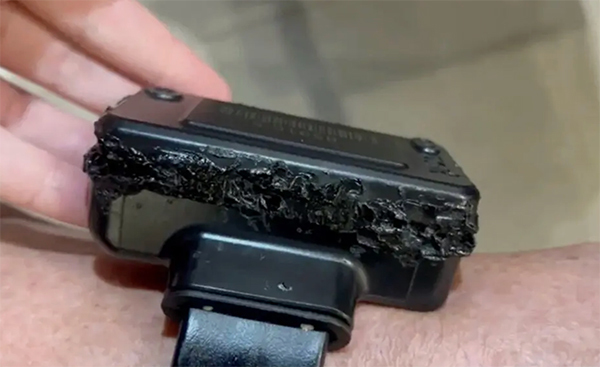 博索纳罗破坏的电子脚镣 视频截图