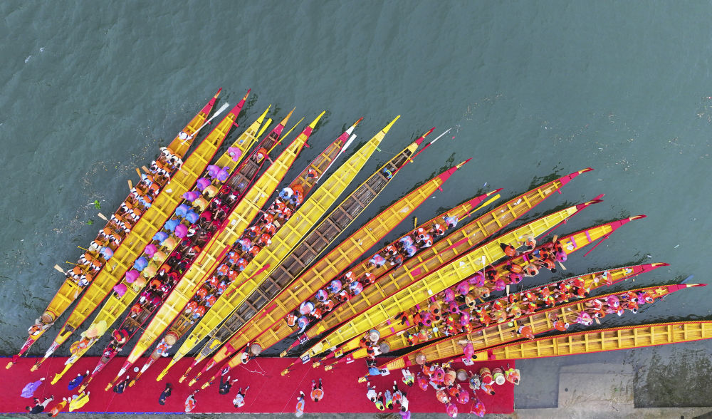 ↑四川省阆中市，参赛龙舟在嘉陵江畔集结（2025年5月31日，无人机照片）。