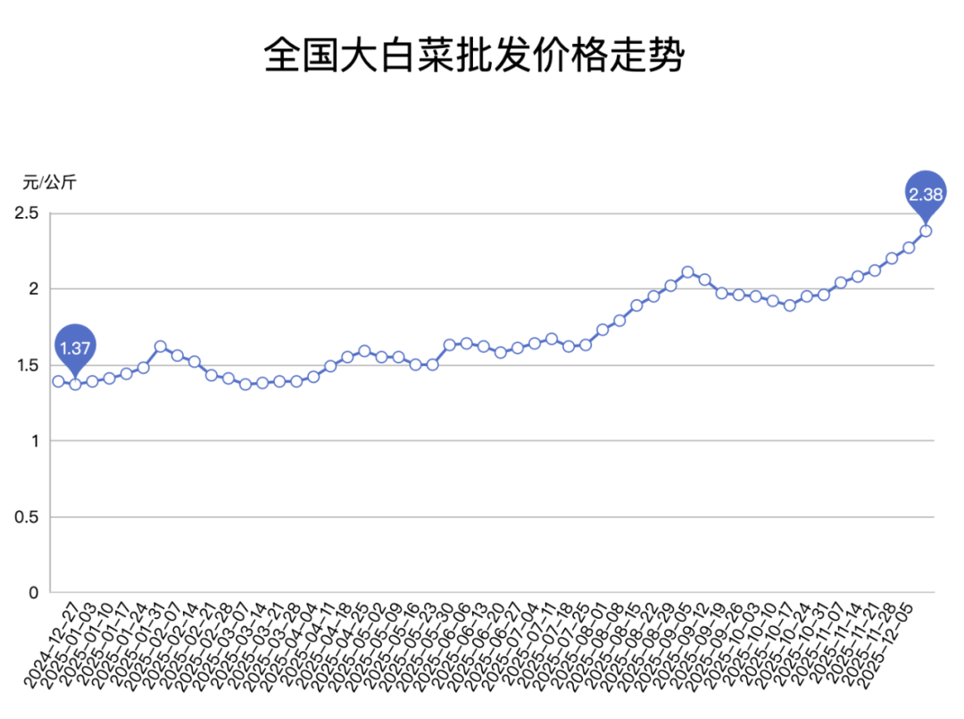 从去年年底到今年年底,大白菜的批发价格一直在往上走。(图/商务预报网)