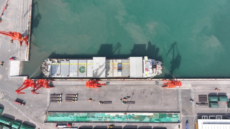 全流程自动化件杂货纸浆码头（央广网发 山东港口青岛港供图）