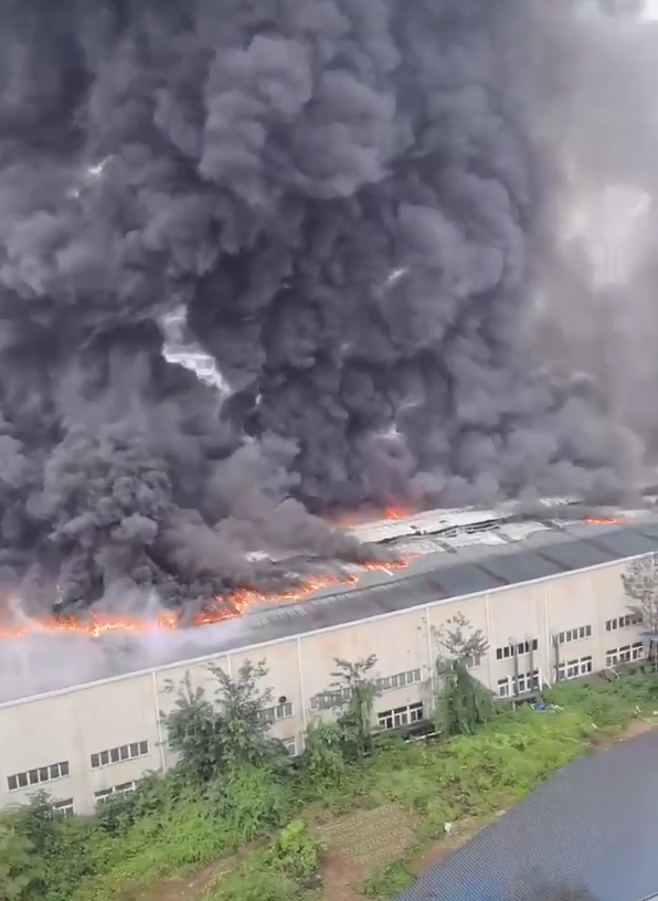 (圖為網(wǎng)友發(fā)布的視頻截圖)