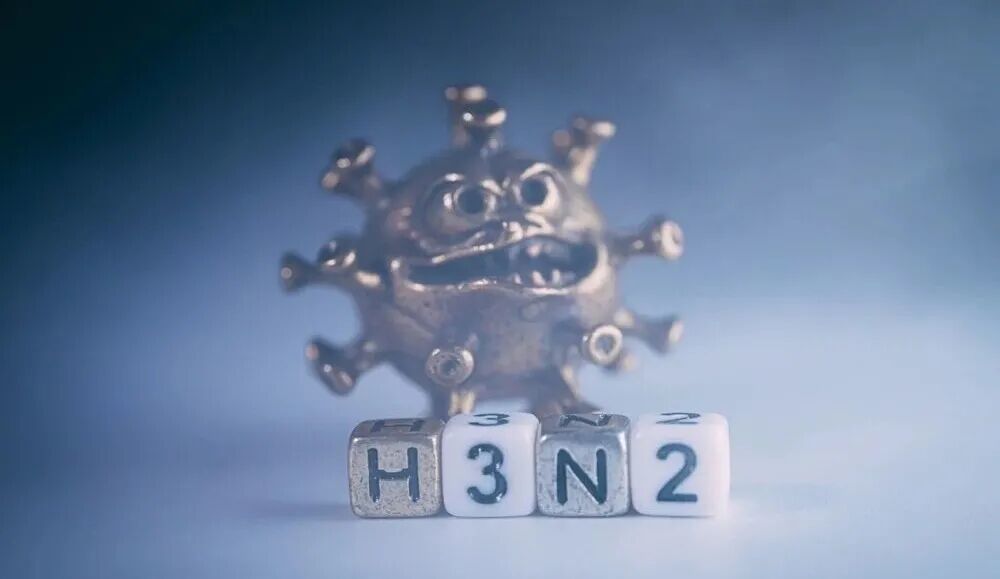 图片来源:站酷海洛