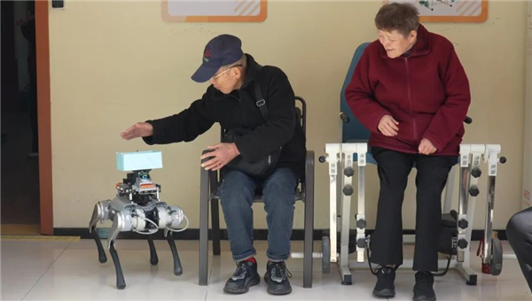 能送药、会唠嗑,这只杭州造机器狗如何“跑”进百姓生活