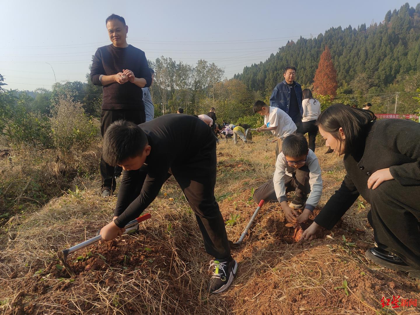 ▲挖呀挖,使劲地挖