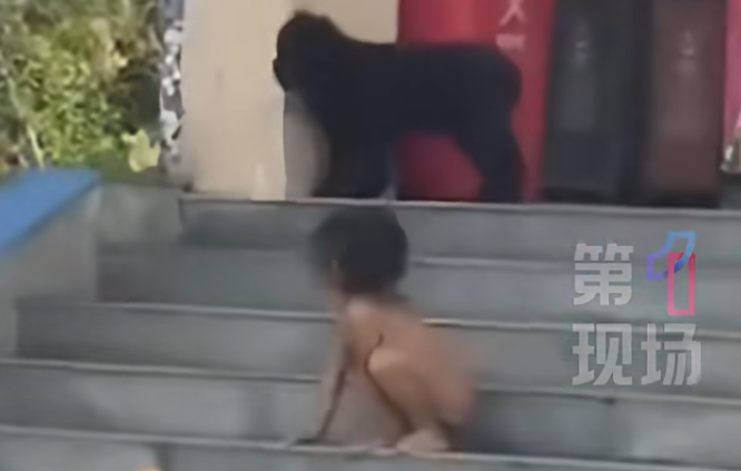 看到“野人孩子”,心里为何那么痛