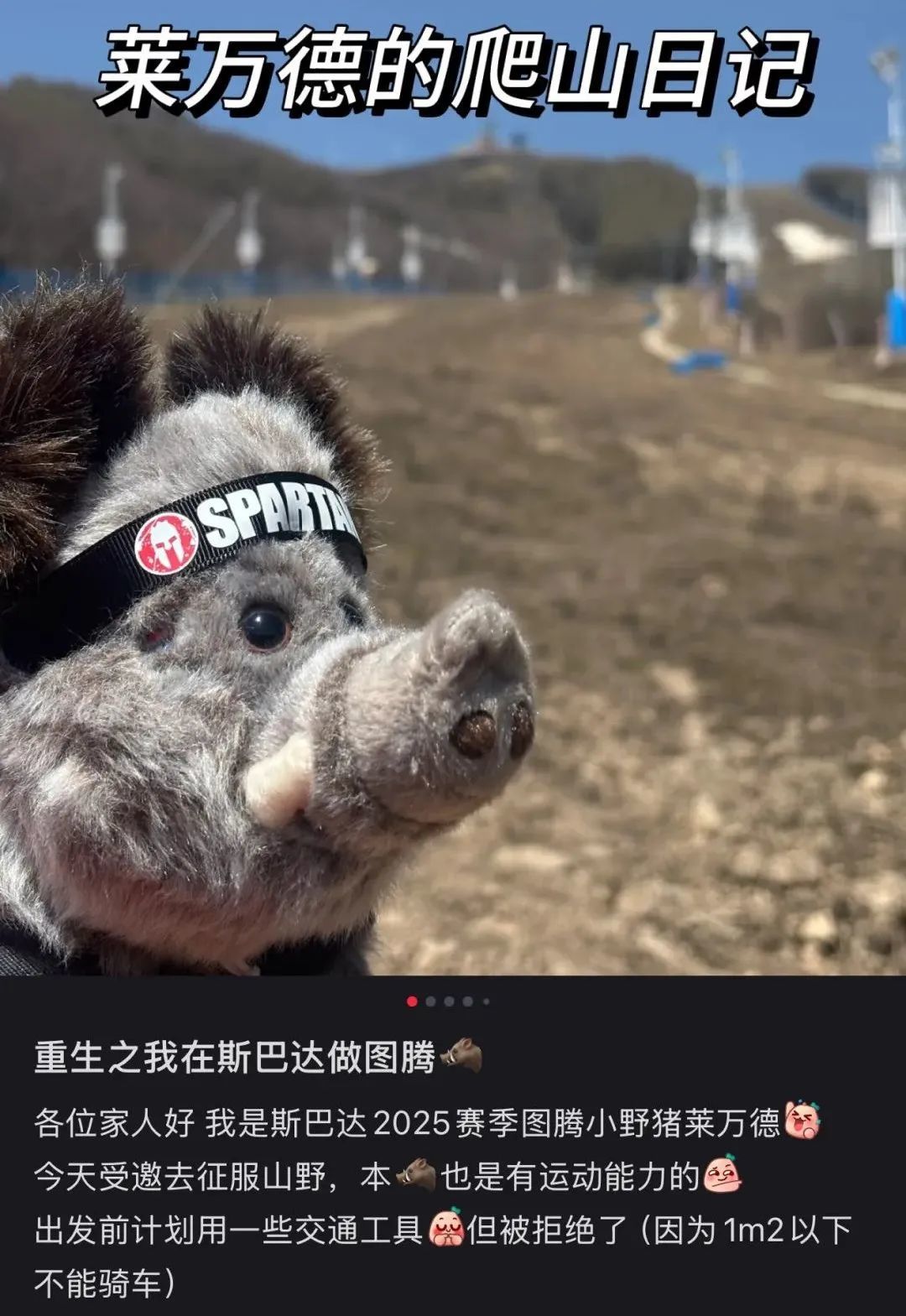 〓 图源：小红书用户@FANGzy