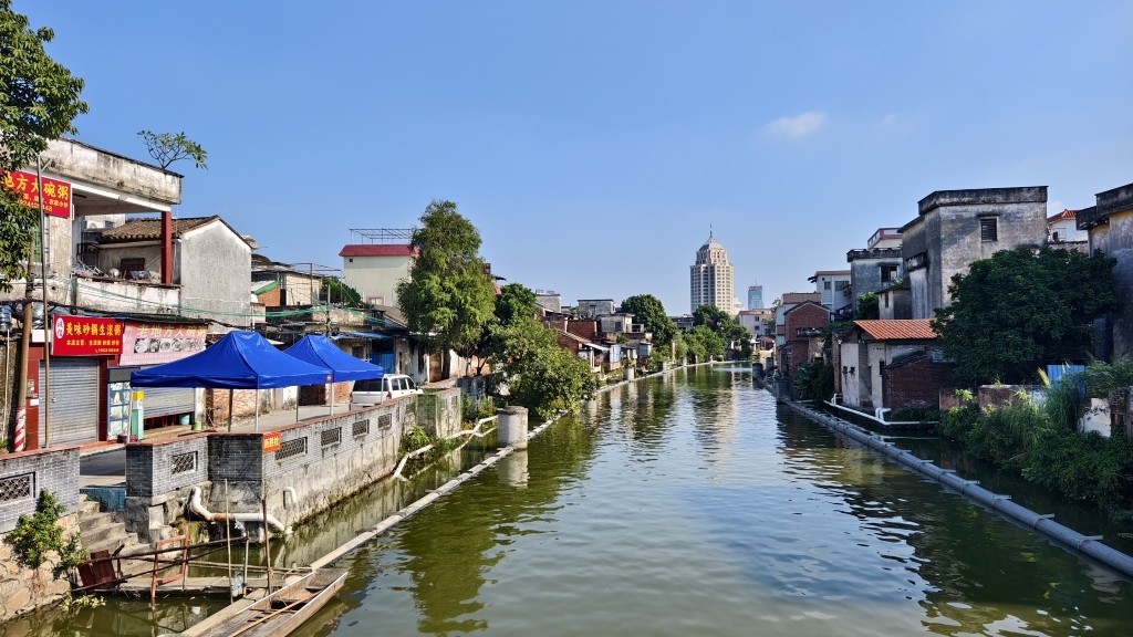 顺德的水乡。本文图片均由受访者提供