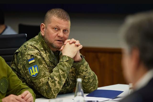 乌军前总司令扎卢日内