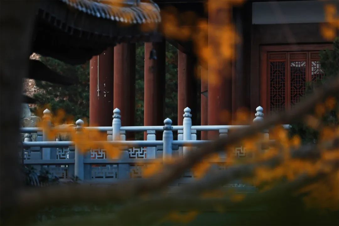 ▲自觅祂意