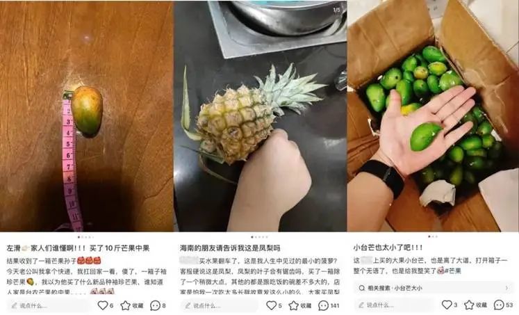 社区感和UGC:小红书市集,何以“友好”的底层逻辑