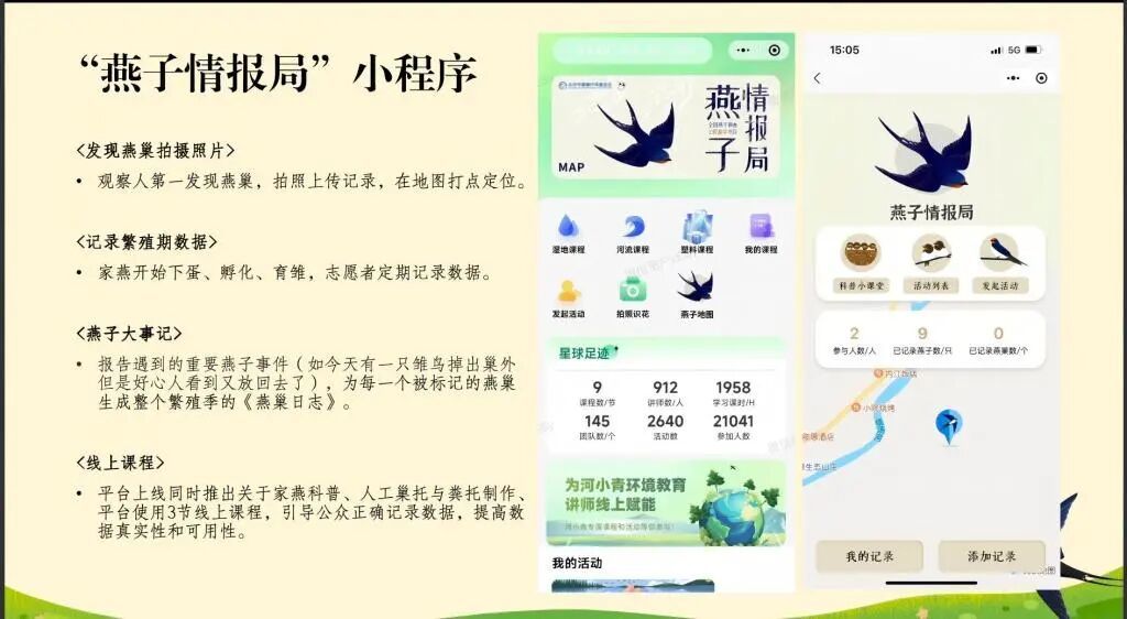 “燕子情报局”小程序