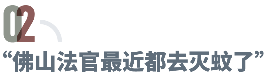 佛山运动式灭蚊,新冠后首次“全民防疫”