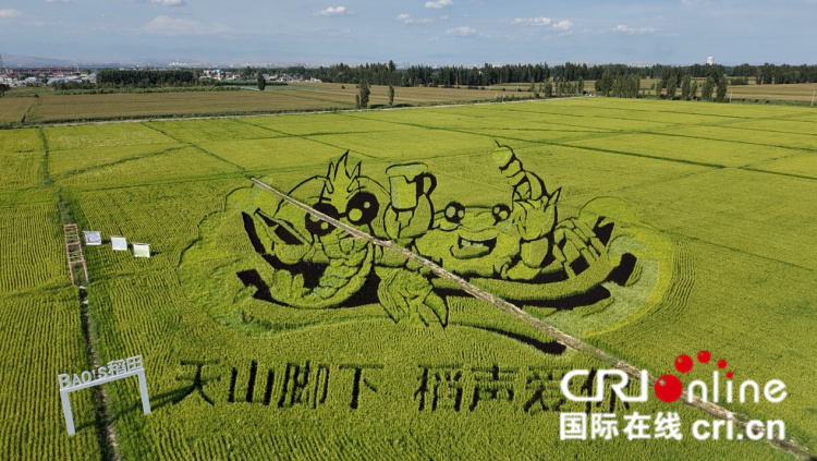 图片默认标题_fororder_图片3