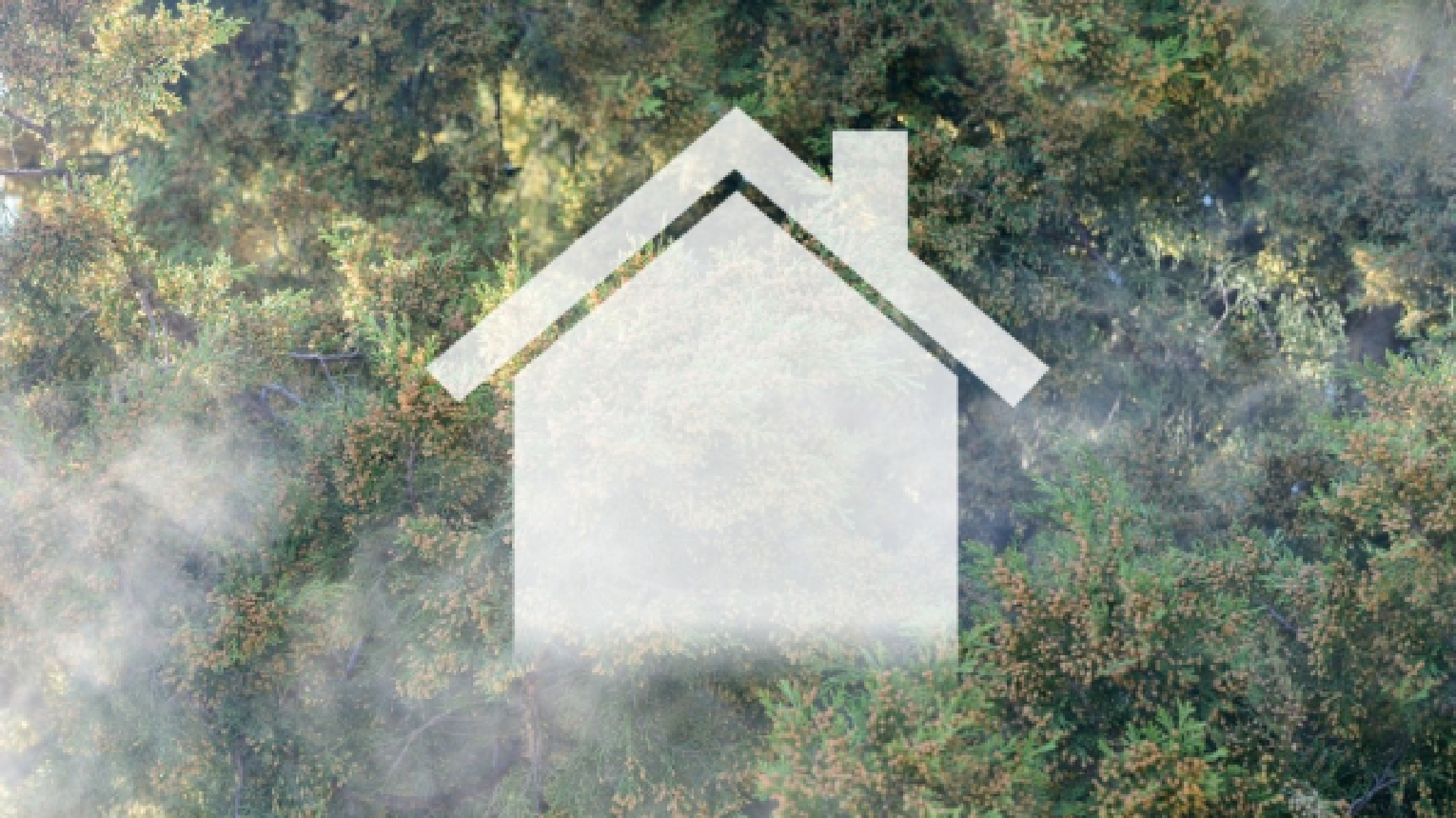 花粉围城：一座北京大院里的过敏故事_凤凰网, image size:2130x1196