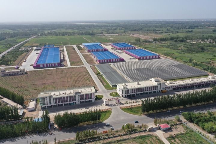 这是广东援疆在喀什地区伽师县打造的粤伽新梅产业园（2023年9月2日摄，无人机照片）。新华社记者 丁磊 摄