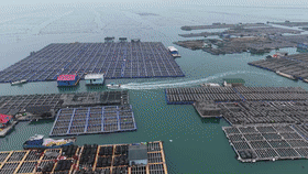 世界海洋日｜向着深蓝色的海洋启航