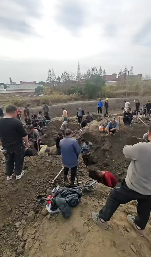 网友在社交平台上发文称松江区车墩镇一地有人挖出银元,吸引不少人前去挖掘。网络 图