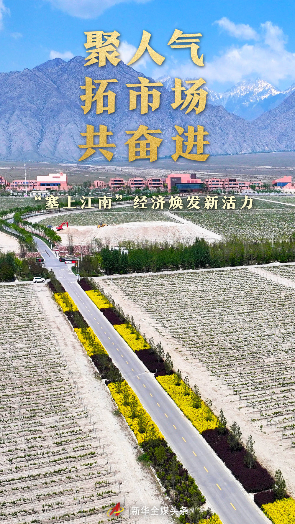 聚人气 拓市场 共奋进——“塞上江南”经济焕发新活力
