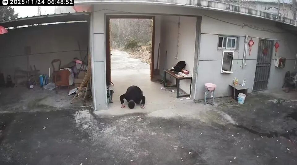 范先生跪别老家。九派新闻 图