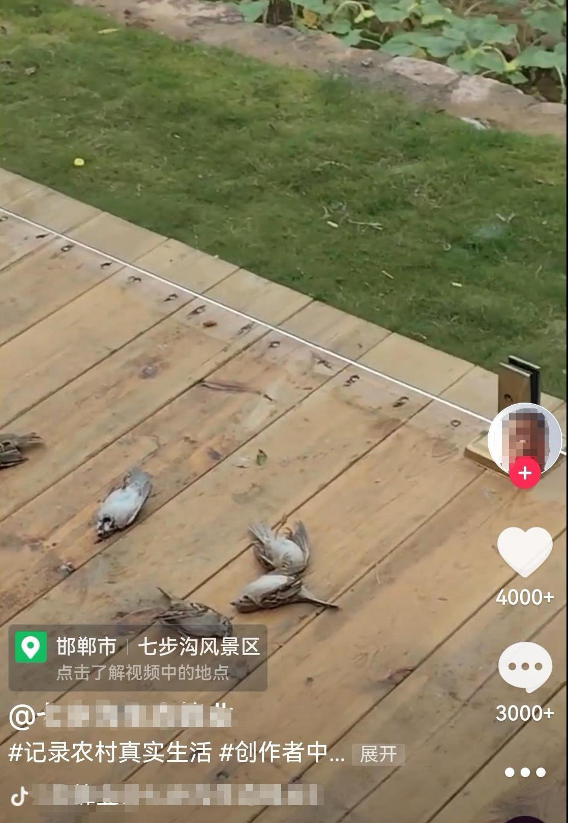 Screenshot_20250922_083149_com.tencent.mobileqq_e.jpg