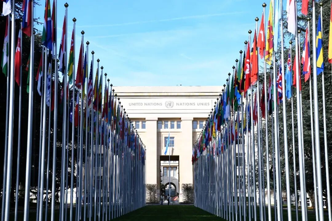 聯(lián)合國總部大樓。