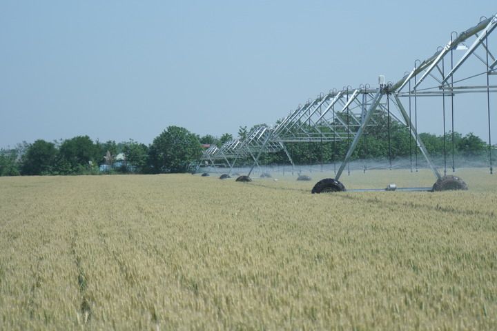 图为陕西省西安市高陵区通远街道生王村正在灌溉的麦田。新华社记者刘彤 摄