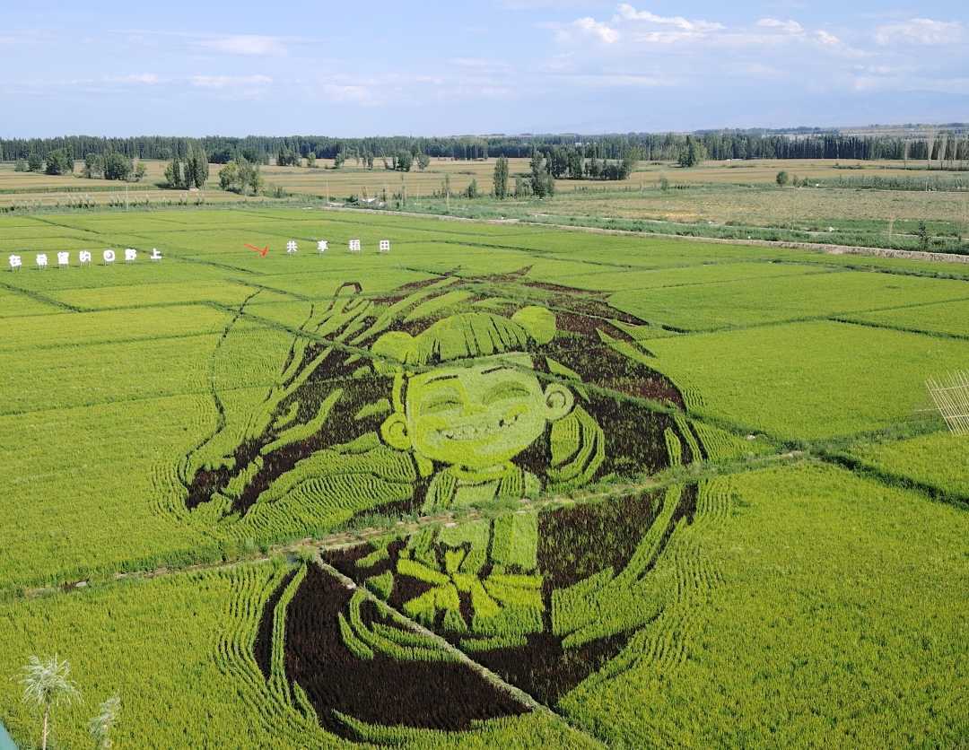 “稻光谣”景区稻田画“哪吒闹海”。刘沛恺摄