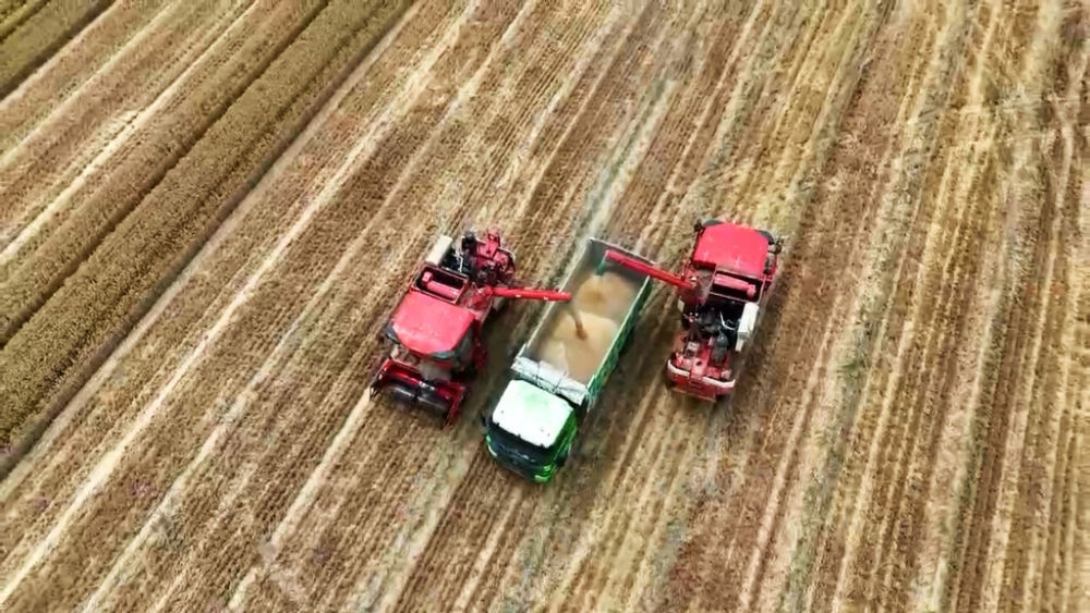 陕西省岐山县，大型收割机在田间作业。受访者供图