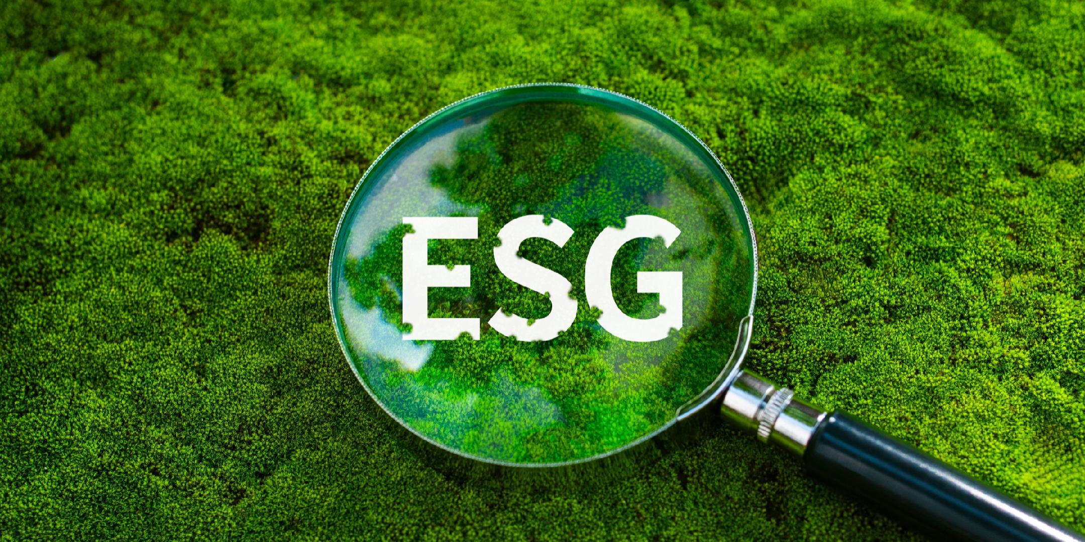 上交所：将进一步优化ESG披露标准推动提高ESG评级水平_凤凰网