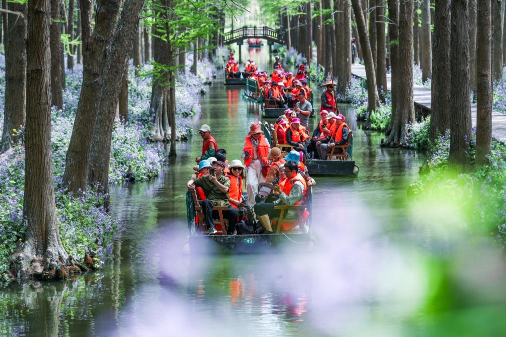 4月16日，游客在江苏兴化里下河国家湿地公园乘坐竹筏赏花游玩。新华社发（周社根摄）