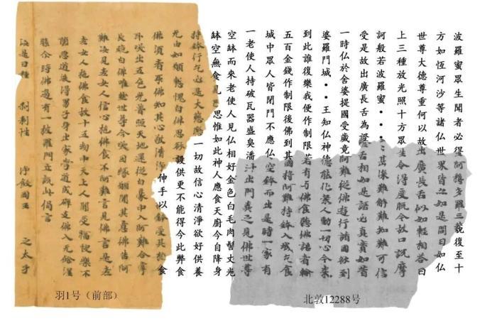 北敦12288号（现藏中国国家图书馆）与羽1号（现藏日本杏雨书屋）缀合图。（资料图）受访者供图