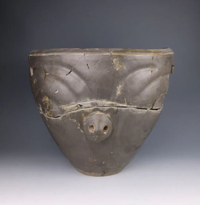 △寺洼遗址内出土的马家窑类型泥质灰陶。（寺洼遗址联合考古队供图）