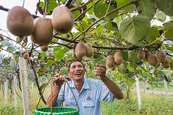 绿色产业助力幕阜山区脱贫 视觉中国