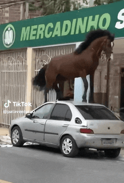 刷到一个又一个假视频后 我不敢相信互联网了