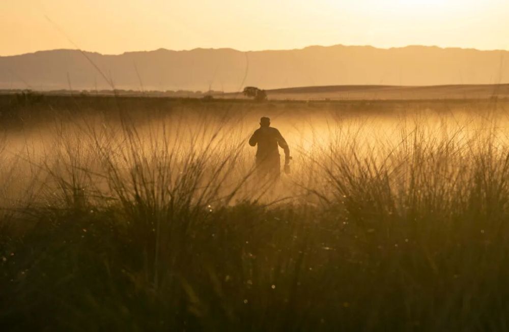 魏德友老人在新疆萨尔布拉克草原上放牧巡边。新华社记者 胡虎虎 摄