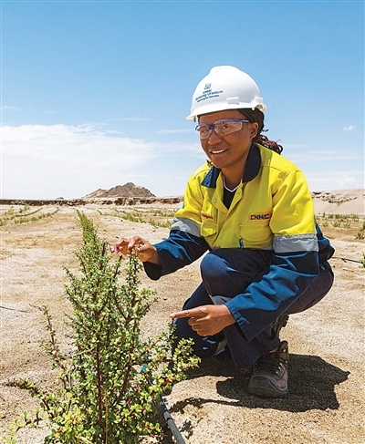 罗辛铀矿建立有效植物移栽机制。图为该公司员工正在维护移栽的植物。　吴慧琳摄
